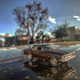 Illustration for article titled California dreaming on a New York’s winter day